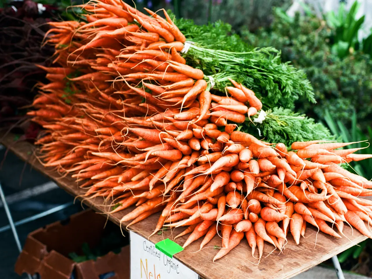 Enjoy these Juice-tasty Facts: Uncovering 8 Compelling Reasons to Drink Carrot Juice Today