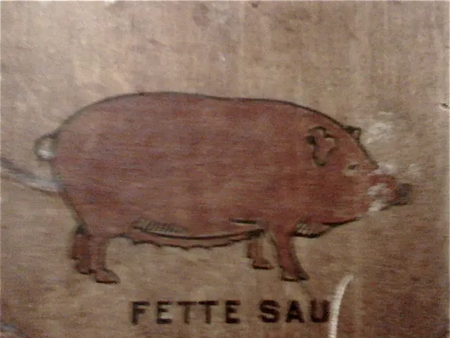 Researchers Successfully Graft Pig Lung onto Human Subject; Lung Functioned for Nearly a Week